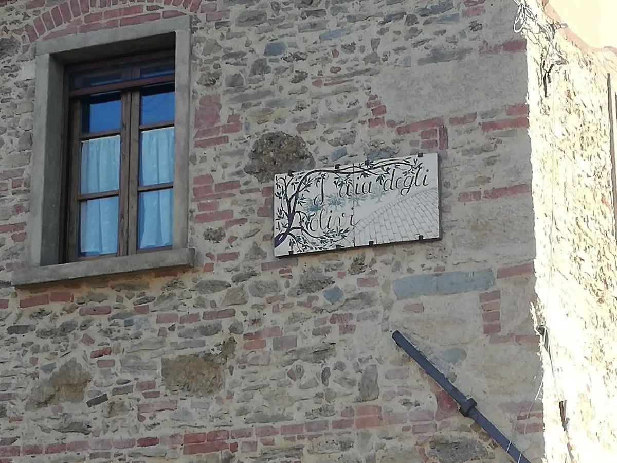 L'Aia Degli Olivi Apartment Vada